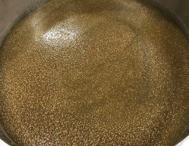 Fermentação láctica
