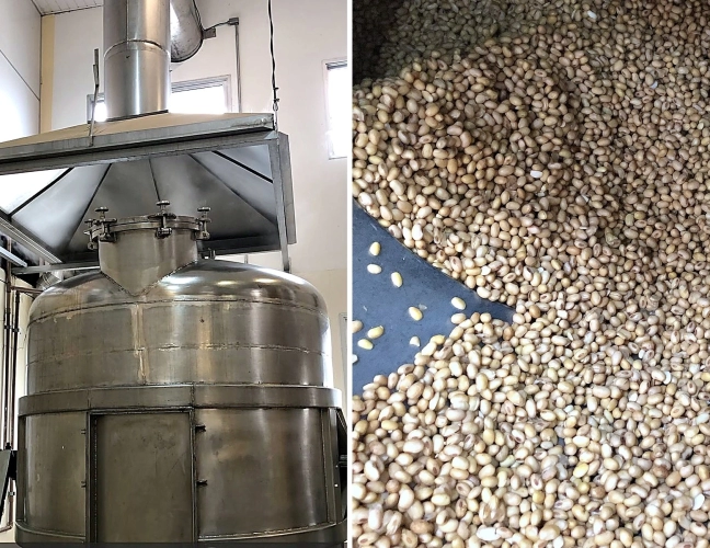 3. Lavagem, hidratação e cozimento da soja orgânica