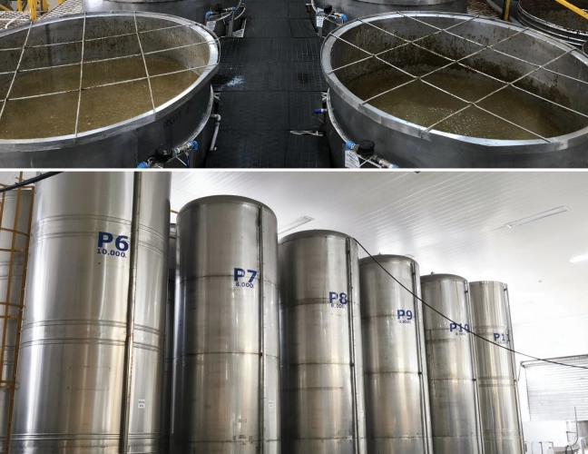 Tanques de Maturação